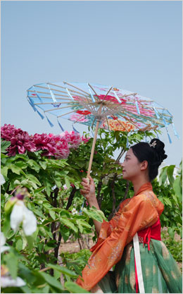 【 汉服游园 】