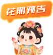 花期预告