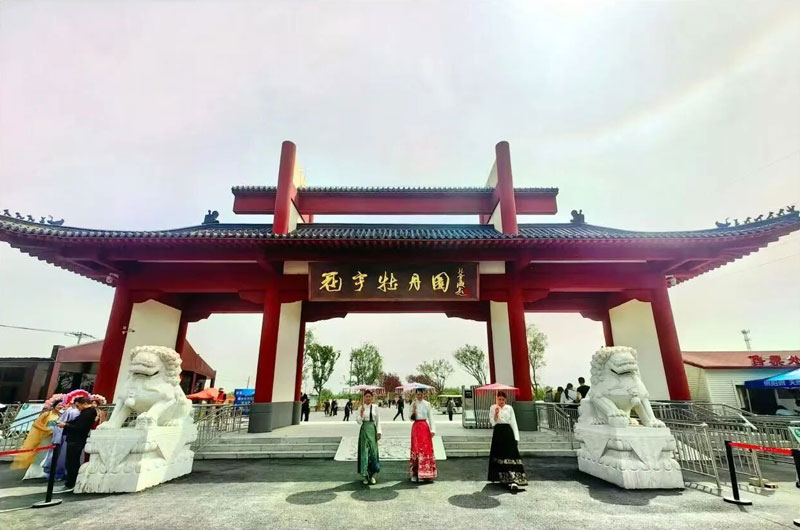 菏泽冠宇牡丹园+曹州古城 精品纯玩一日游