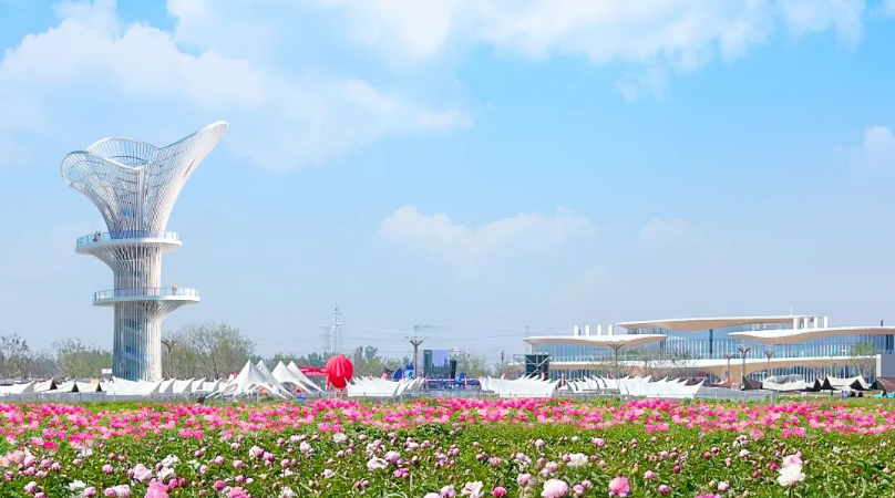 国色天香错峰赏！冠宇牡丹园&times;曹州百花园2026花期预告